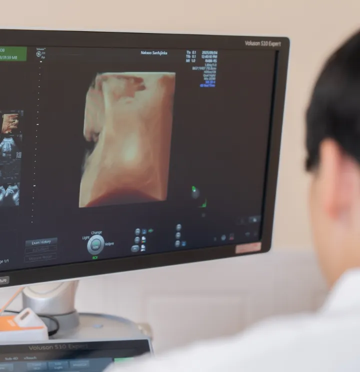 先生がエコーの様子を見ている